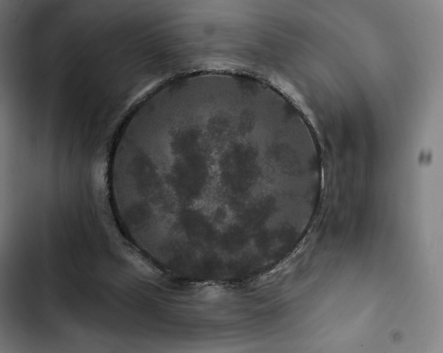 X0000103320249200809051153