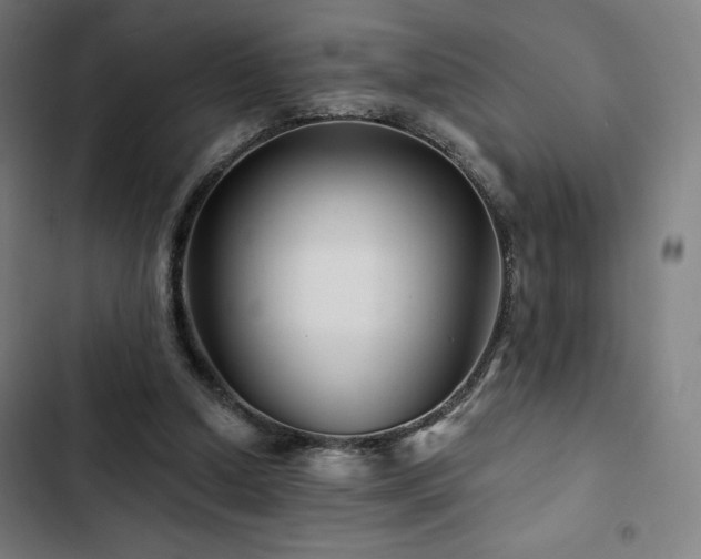 X0000103320250200809051153