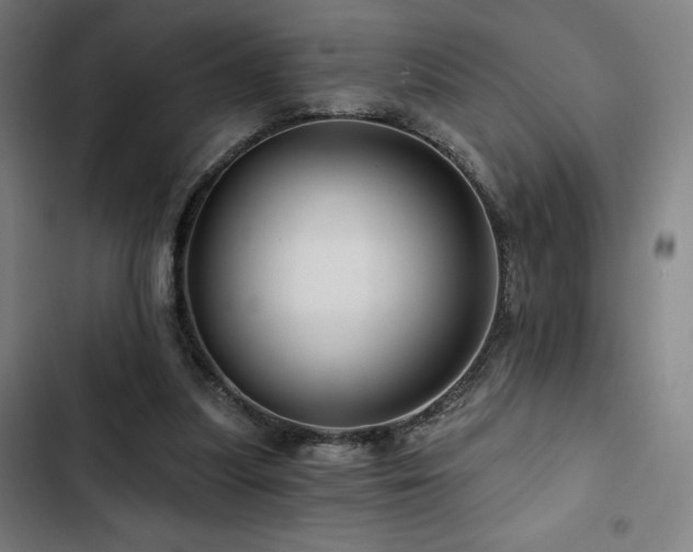 X0000103320251200809051153