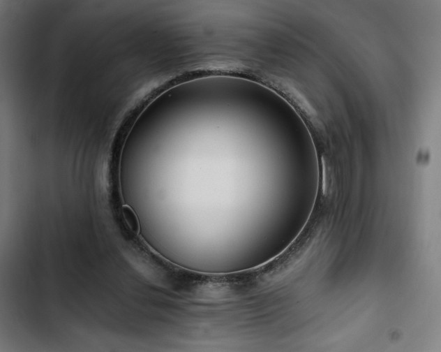 X0000103320252200809051153