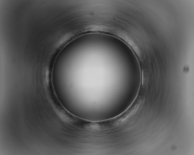 X0000103320253200809051153