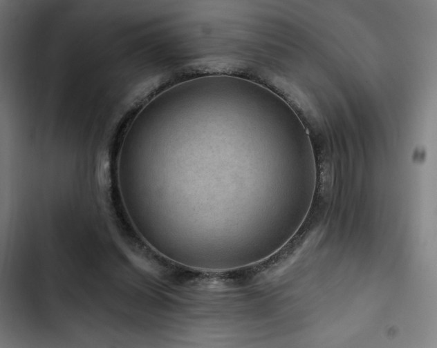 X0000103320254200809051153