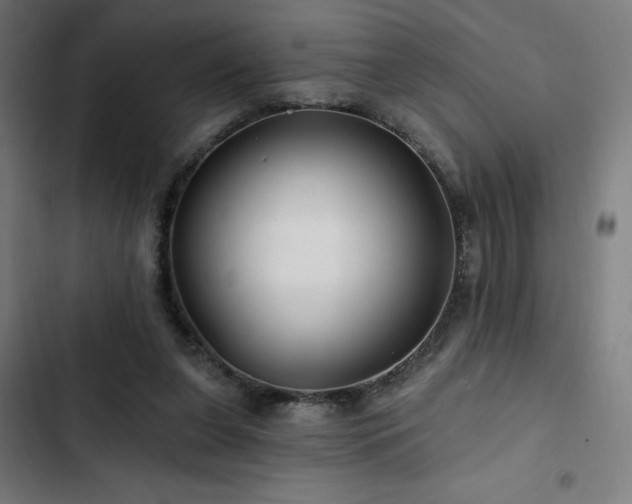 X0000103320255200809051153