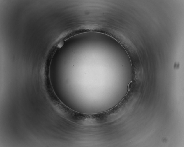 X0000103320256200809051153