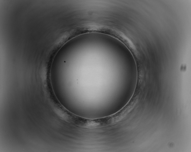 X0000103320257200809051153