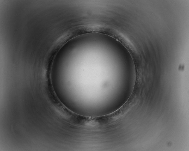 X0000103320258200809051153