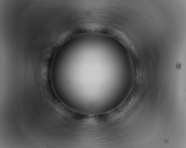 X0000103320259200809051153