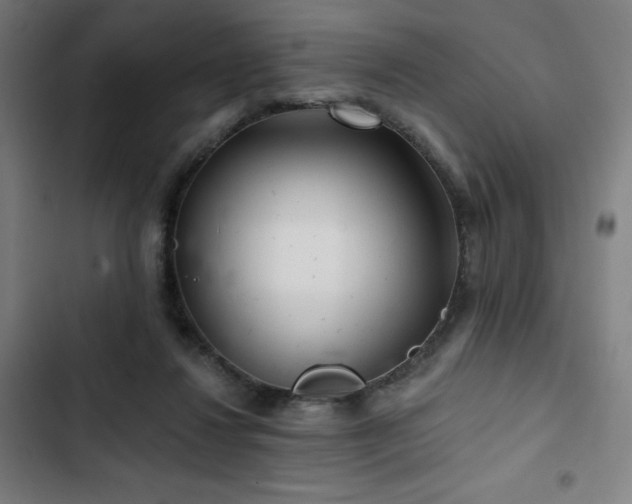 X0000103320260200809051153