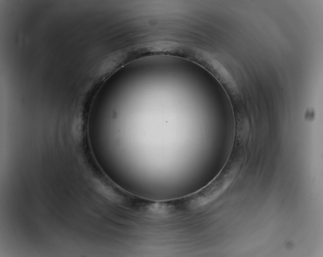 X0000103320261200809051153