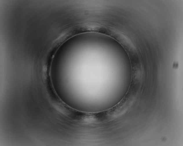 X0000103320262200809051153