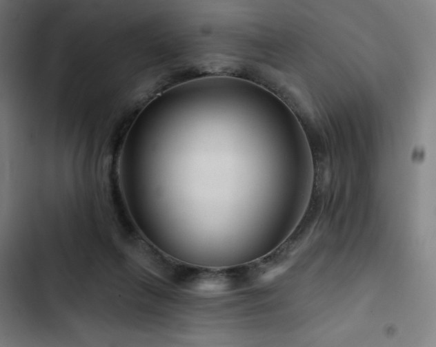 X0000103320263200809051153