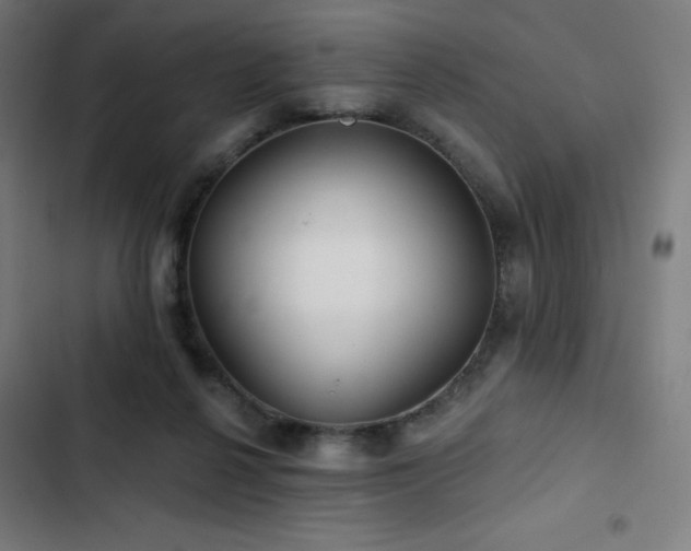 X0000103320264200809051153