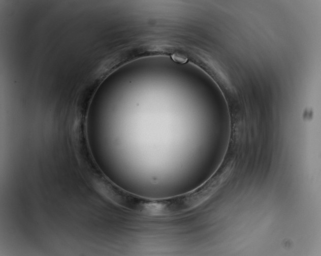 X0000103320265200809051154