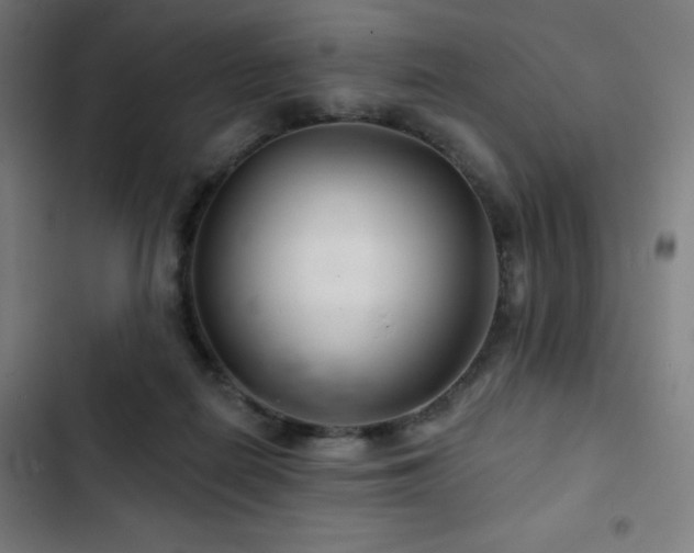 X0000103320266200809051154