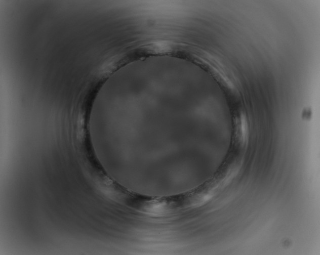 X0000103320267200809051154