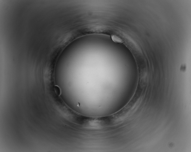 X0000103320268200809051154