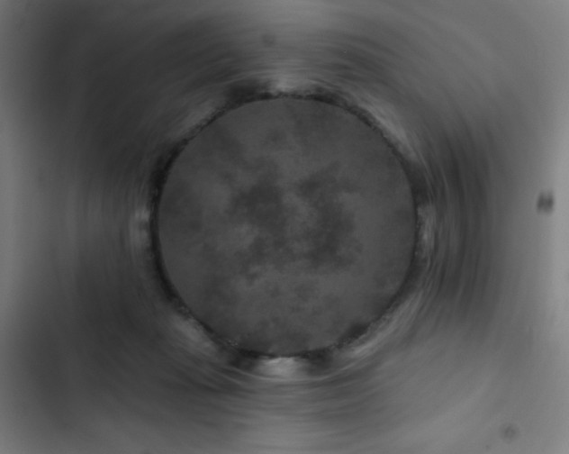 X0000103320269200809051154