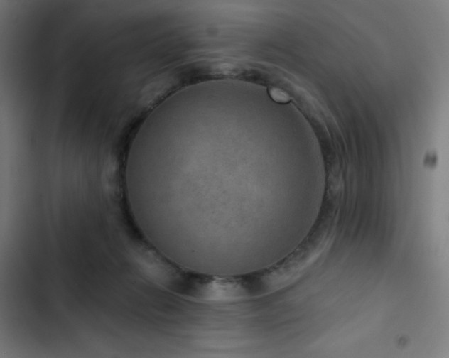 X0000103320270200809051154