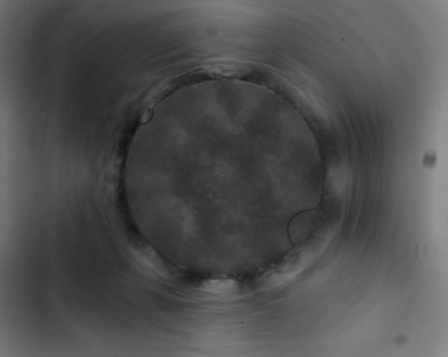 X0000103320271200809051154