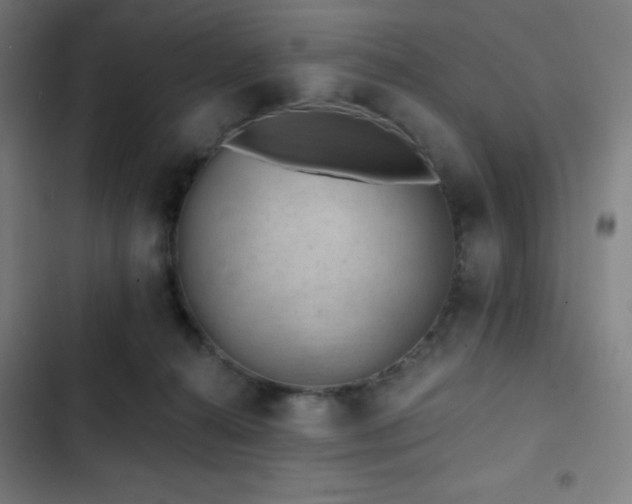 X0000103320272200809051154