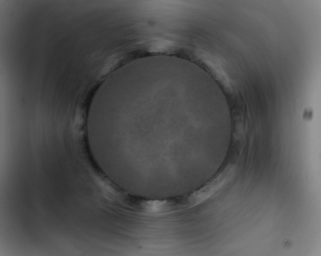 X0000103320273200809051154