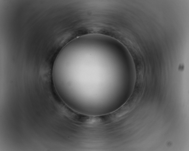 X0000103320274200809051154