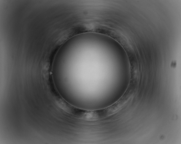 X0000103320275200809051154