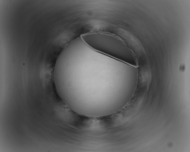 X0000103320276200809051154