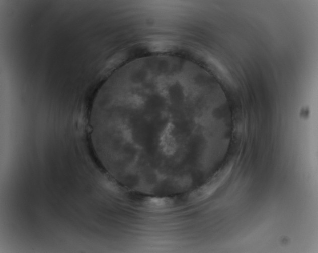 X0000103320277200809051154