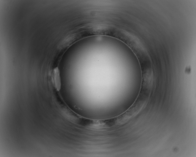 X0000103320278200809051154