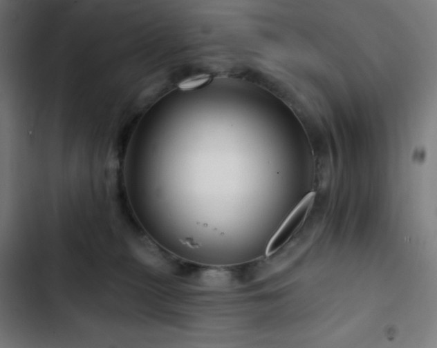 X0000103320279200809051154