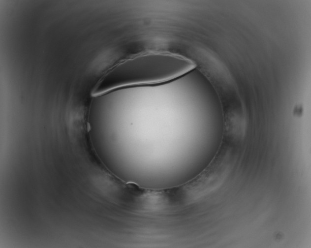 X0000103320280200809051154