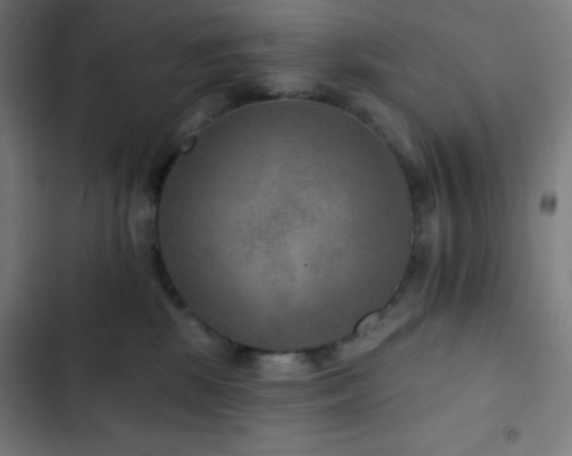 X0000103320281200809051154