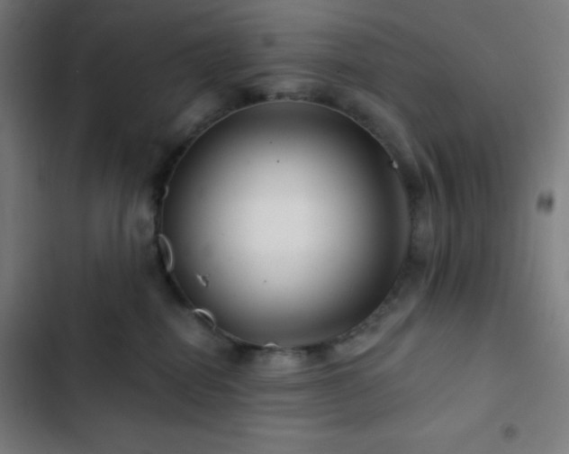 X0000103320282200809051154