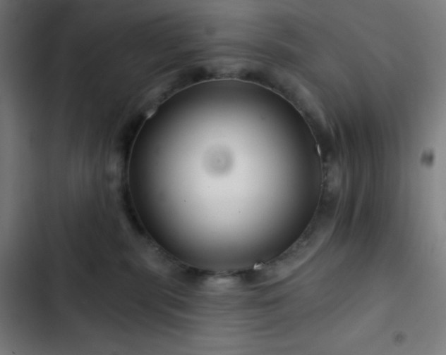 X0000103320283200809051154