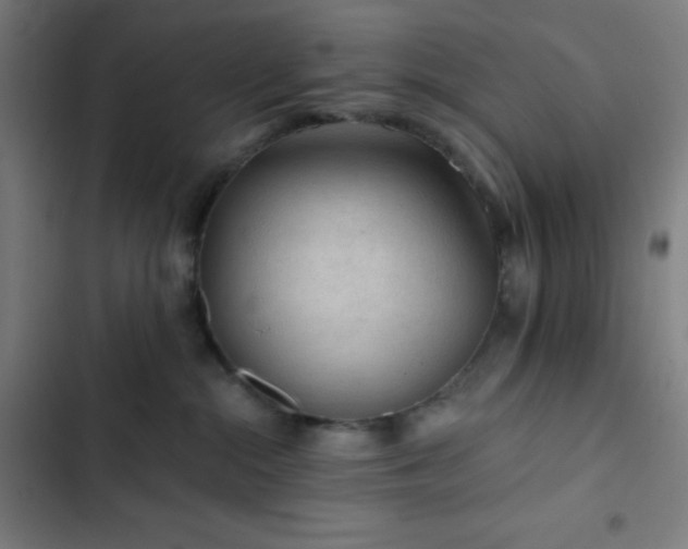 X0000103320284200809051154