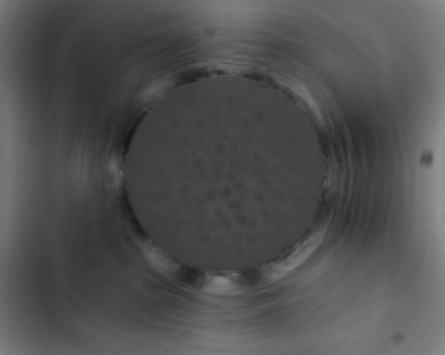 X0000103320285200809051154