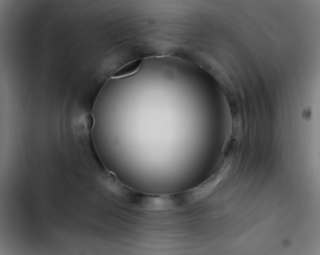 X0000103320286200809051154