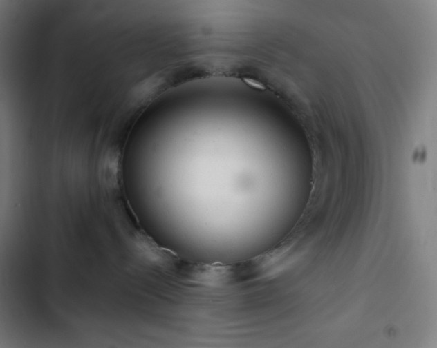 X0000103320288200809051154