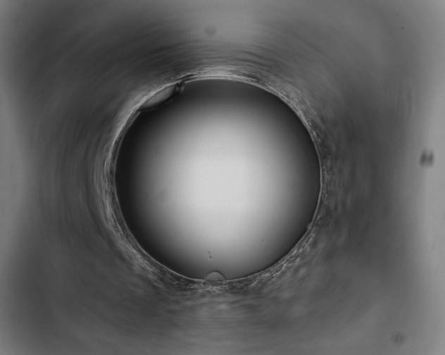 X0000103320289200809051153