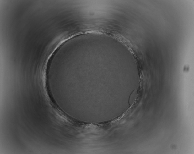 X0000103320290200809051153