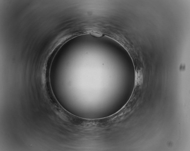 X0000103320291200809051153