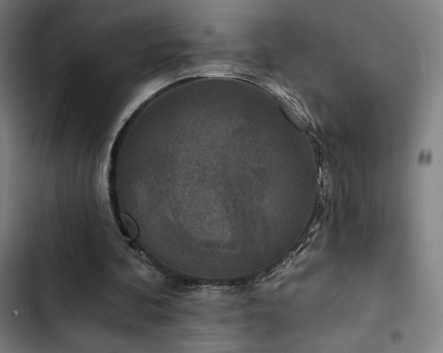 X0000103320292200809051153