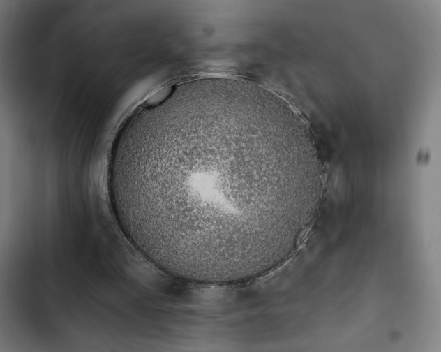 X0000103320293200809051153