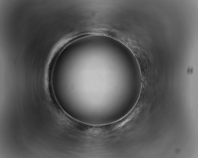 X0000103320294200809051153