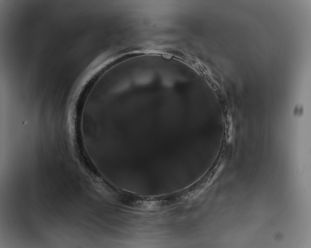 X0000103320295200809051153