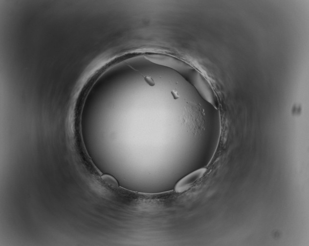 X0000103320296200809051153