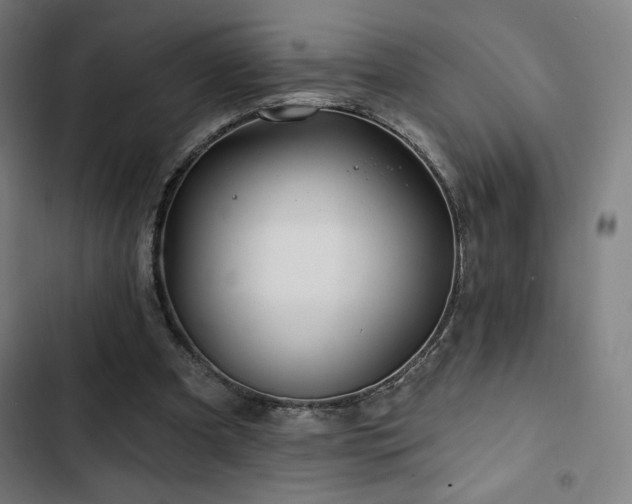 X0000103320297200809051153