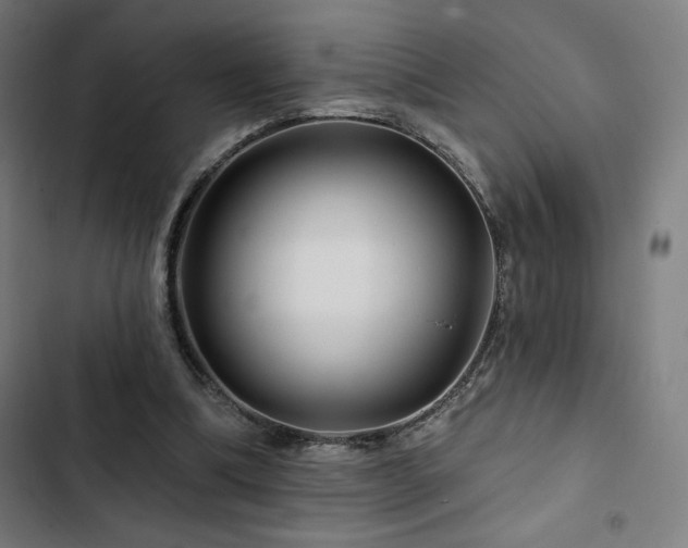 X0000103320298200809051153