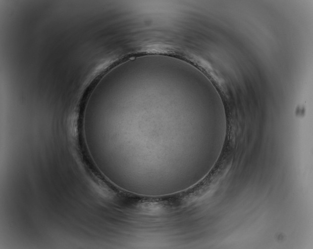 X0000103320299200809051153